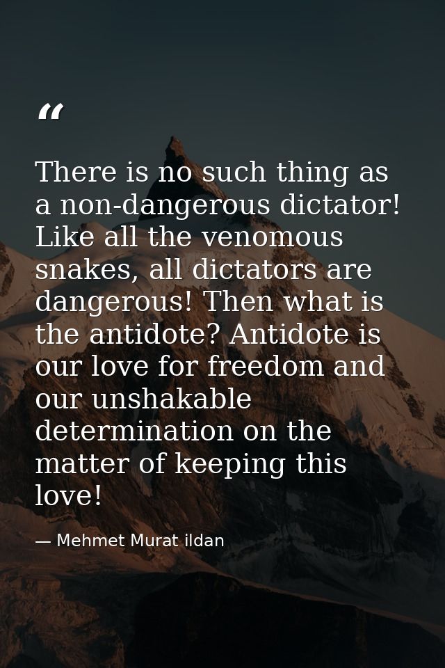 There is no such thing as a non-dangerous dictator! Like all the venomous snakes, all dictators are dangerous! Then what — Mehmet Murat ildan