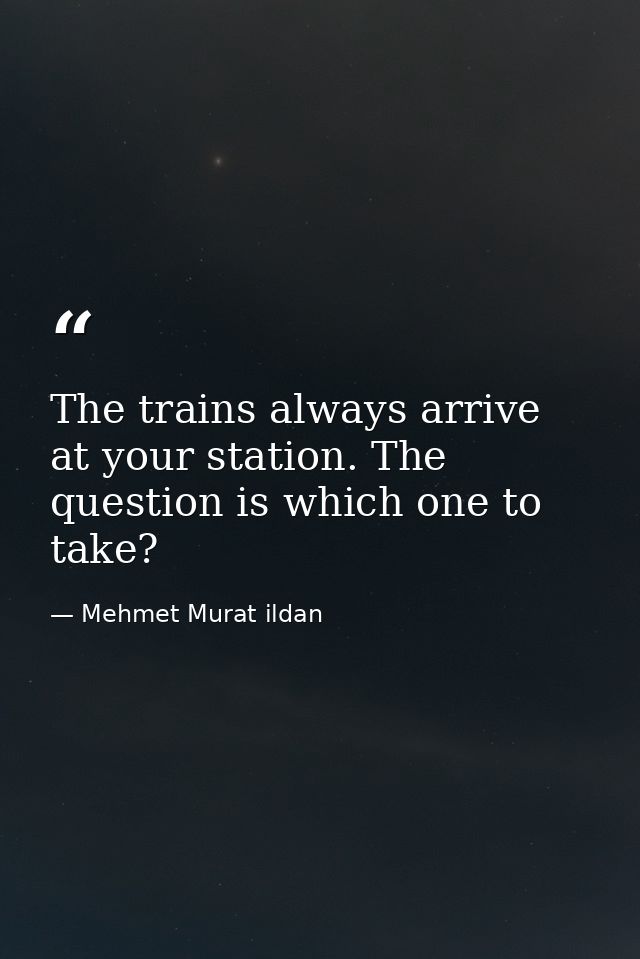 The trains always arrive at your station. The question is which one to take? — Mehmet Murat ildan