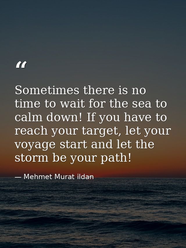 Sometimes there is no time to wait for the sea to calm down! If you have to reach your target, let your voyage start and — Mehmet Murat ildan