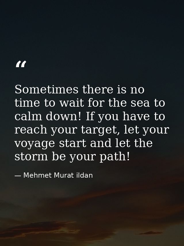 Sometimes there is no time to wait for the sea to calm down! If you have to reach your target, let your voyage start and — Mehmet Murat ildan