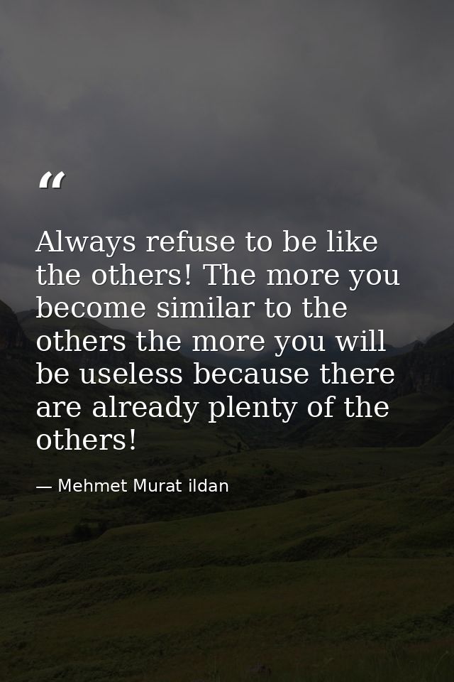 Always refuse to be like the others! The more you become similar to the others the more you will be useless because ther — Mehmet Murat ildan
