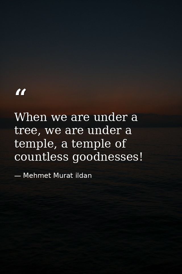 When we are under a tree, we are under a temple, a temple of countless goodnesses! — Mehmet Murat ildan