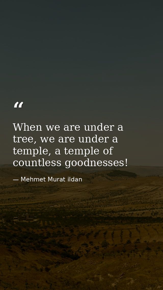 When we are under a tree, we are under a temple, a temple of countless goodnesses! — Mehmet Murat ildan