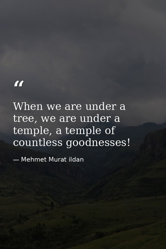 When we are under a tree, we are under a temple, a temple of countless goodnesses! — Mehmet Murat ildan