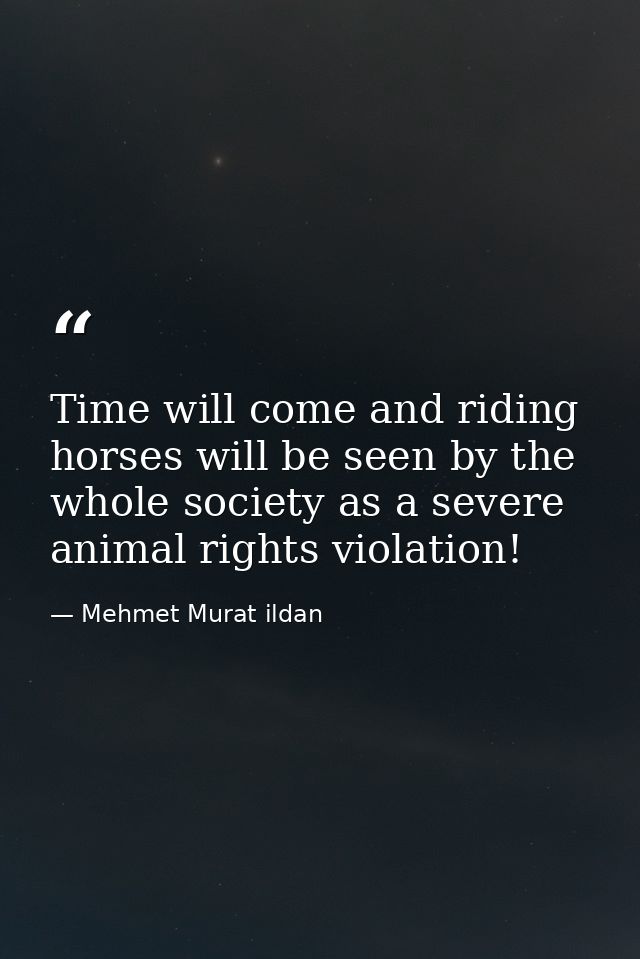 Time will come and riding horses will be seen by the whole society as a severe animal rights violation! — Mehmet Murat ildan