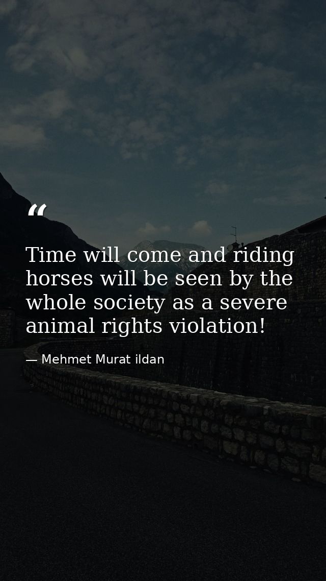 Time will come and riding horses will be seen by the whole society as a severe animal rights violation! — Mehmet Murat ildan