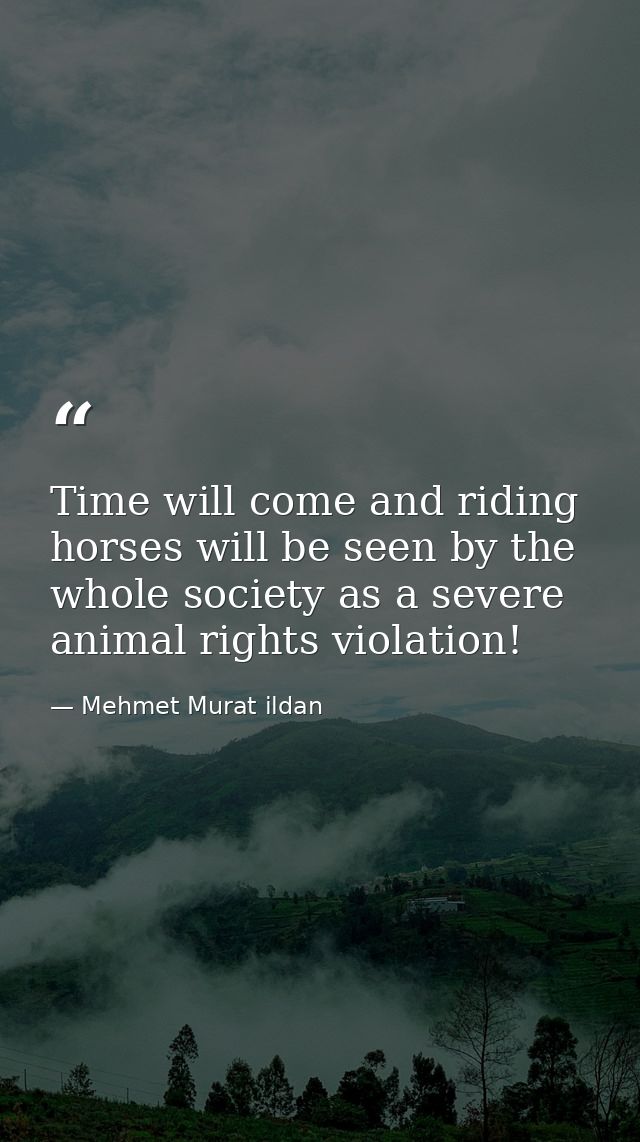 Time will come and riding horses will be seen by the whole society as a severe animal rights violation! — Mehmet Murat ildan