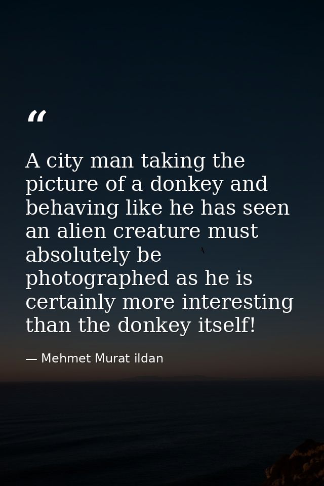 A city man taking the picture of a donkey and behaving like he has seen an alien creature must absolutely be photographe — Mehmet Murat ildan