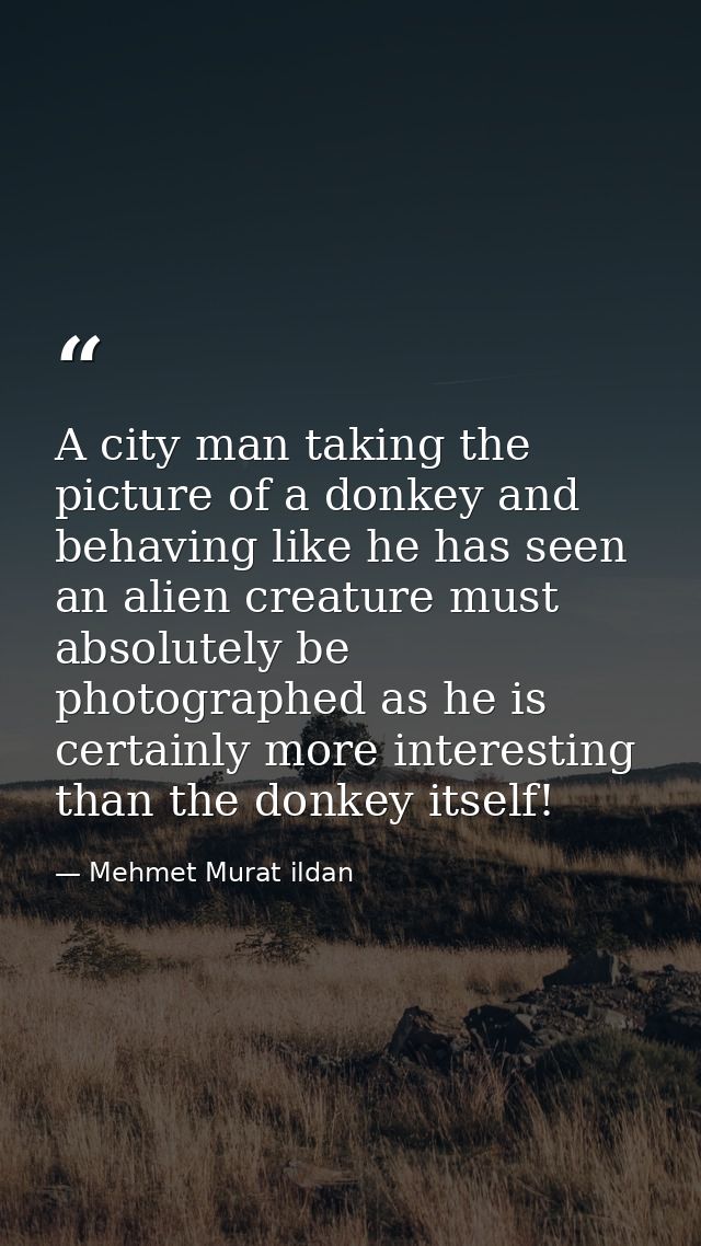 A city man taking the picture of a donkey and behaving like he has seen an alien creature must absolutely be photographe — Mehmet Murat ildan