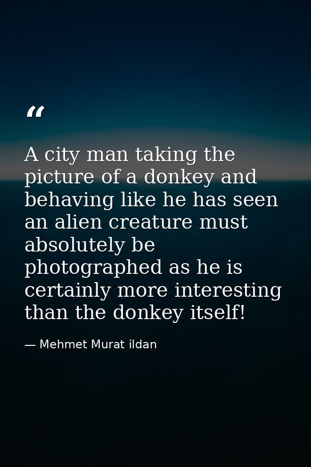 A city man taking the picture of a donkey and behaving like he has seen an alien creature must absolutely be photographe — Mehmet Murat ildan