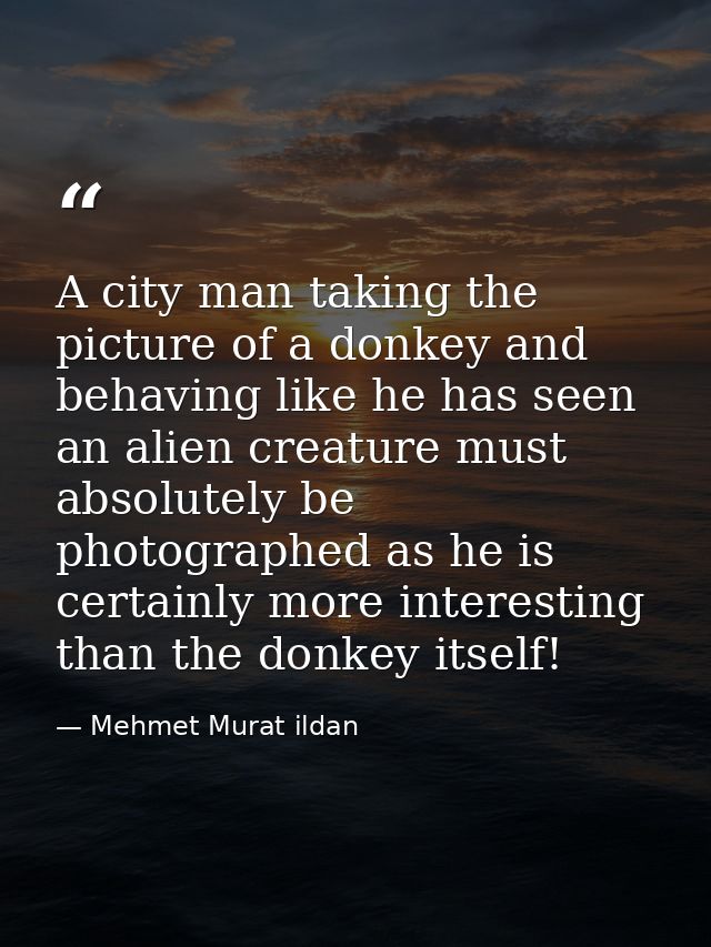 A city man taking the picture of a donkey and behaving like he has seen an alien creature must absolutely be photographe — Mehmet Murat ildan