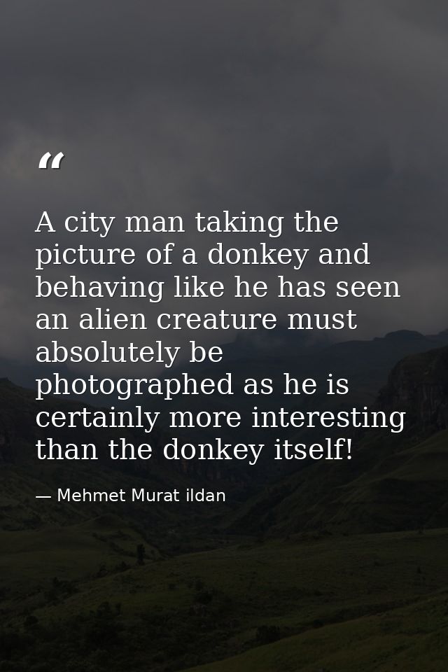A city man taking the picture of a donkey and behaving like he has seen an alien creature must absolutely be photographe — Mehmet Murat ildan