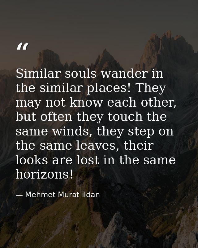 Similar souls wander in the similar places! They may not know each other, but often they touch the same winds, they step — Mehmet Murat ildan