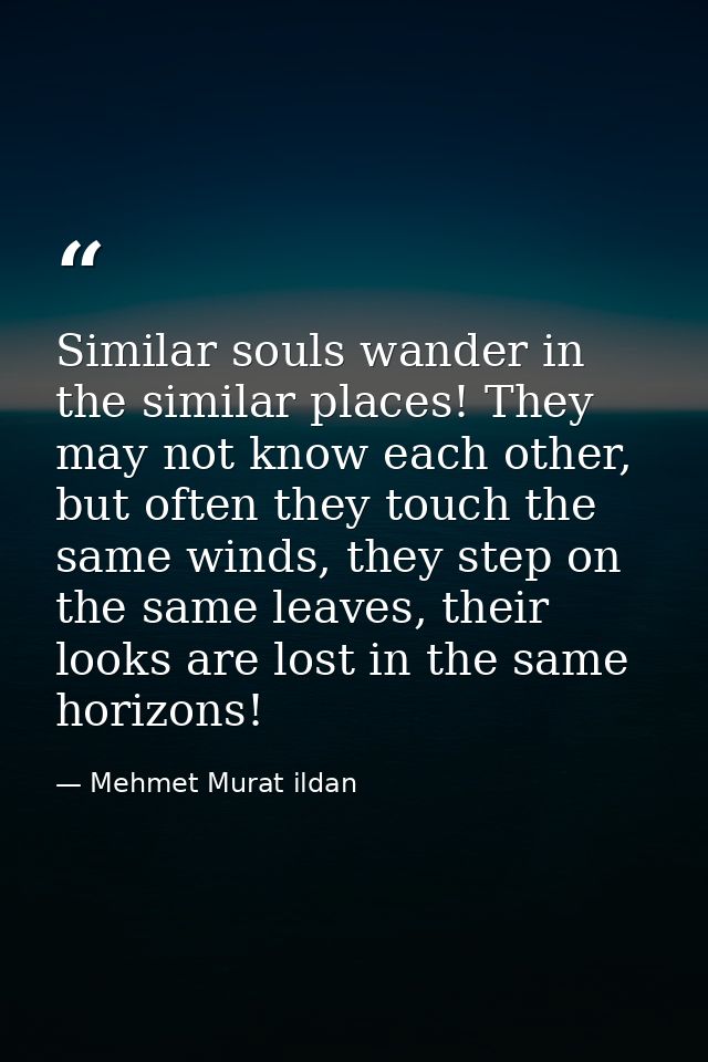 Similar souls wander in the similar places! They may not know each other, but often they touch the same winds, they step — Mehmet Murat ildan
