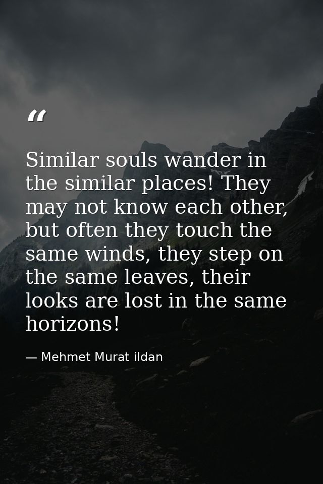 Similar souls wander in the similar places! They may not know each other, but often they touch the same winds, they step — Mehmet Murat ildan