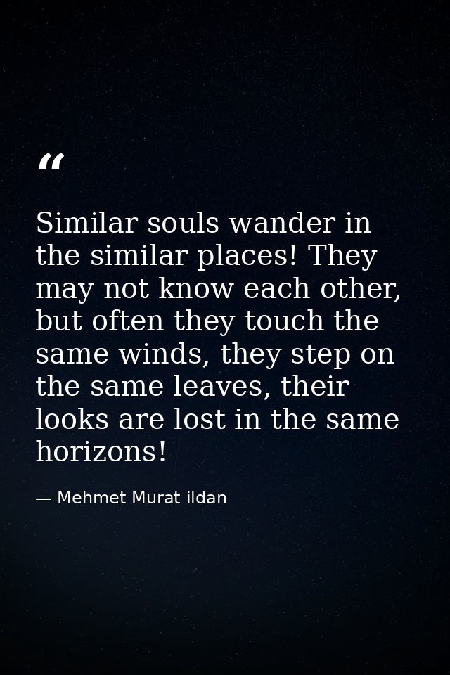 Similar souls wander in the similar places! They may not know each other, but often they touch the same winds, they step — Mehmet Murat ildan