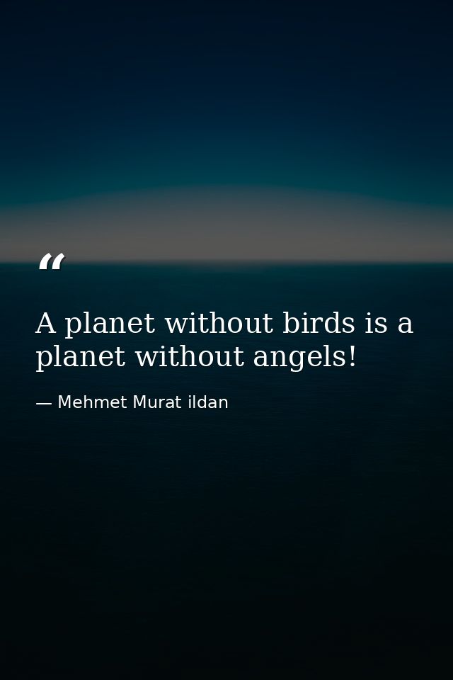 A planet without birds is a planet without angels! — Mehmet Murat ildan