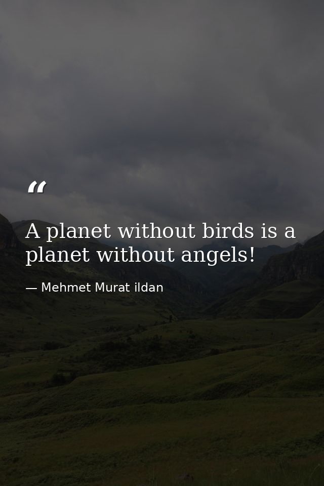 A planet without birds is a planet without angels! — Mehmet Murat ildan