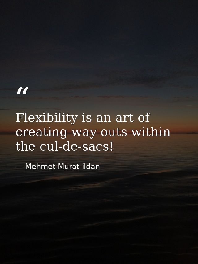 Flexibility is an art of creating way outs within the cul-de-sacs! — Mehmet Murat ildan