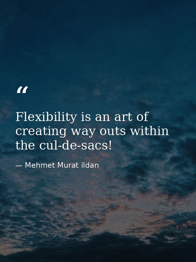 Flexibility is an art of creating way outs within the cul-de-sacs! — Mehmet Murat ildan