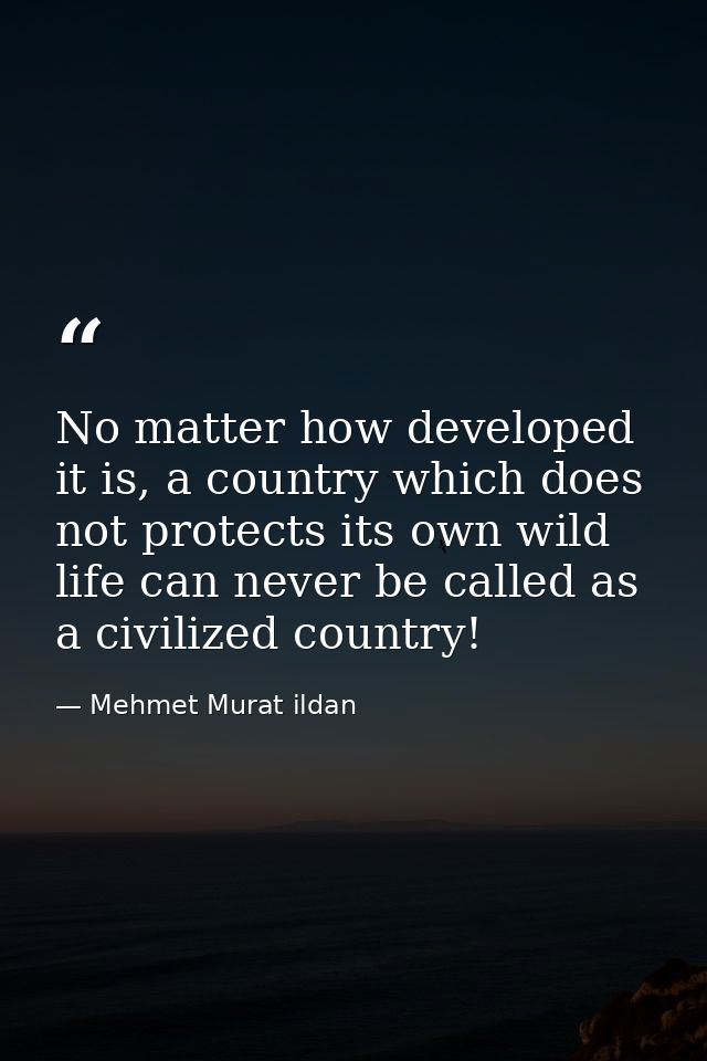 No matter how developed it is, a country which does not protects its own wild life can never be called as a civilized co — Mehmet Murat ildan