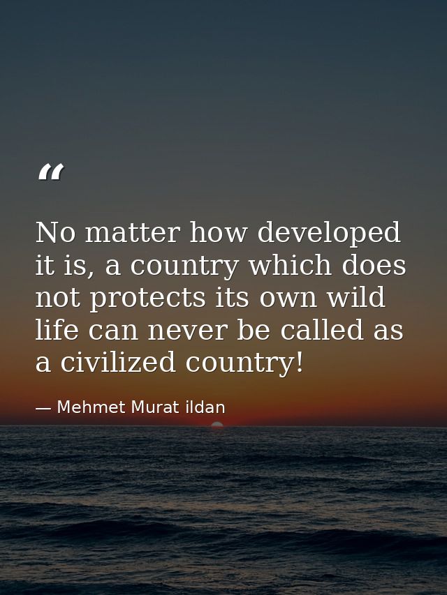 No matter how developed it is, a country which does not protects its own wild life can never be called as a civilized co — Mehmet Murat ildan