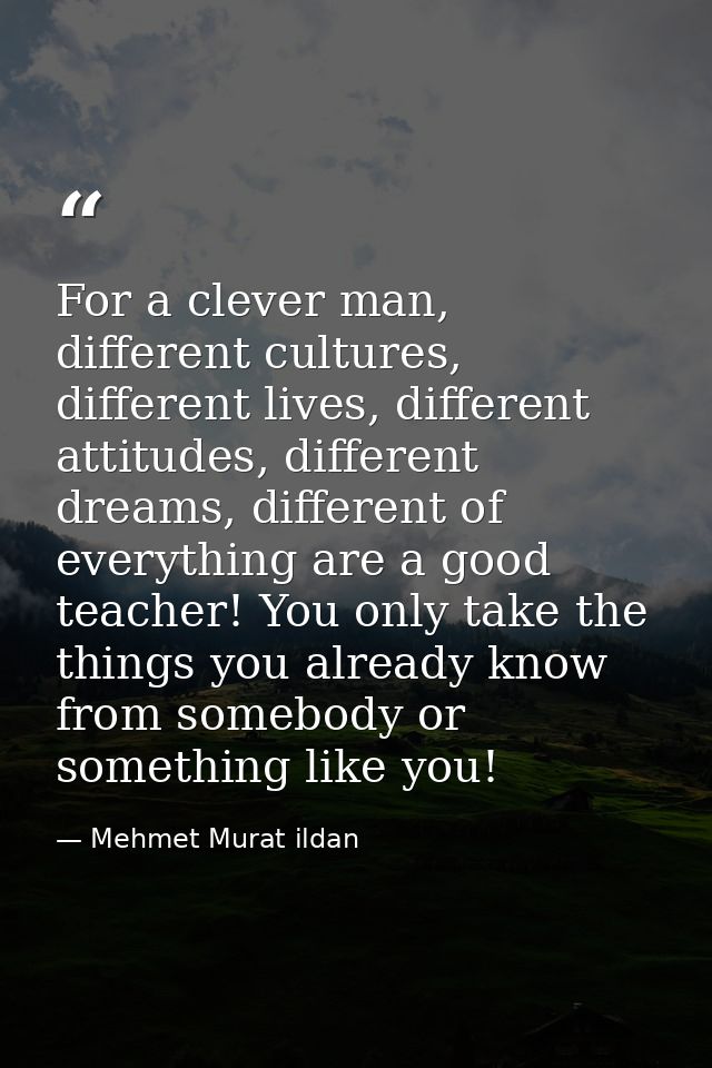 For a clever man, different cultures, different lives, different attitudes, different dreams, different of everything ar — Mehmet Murat ildan