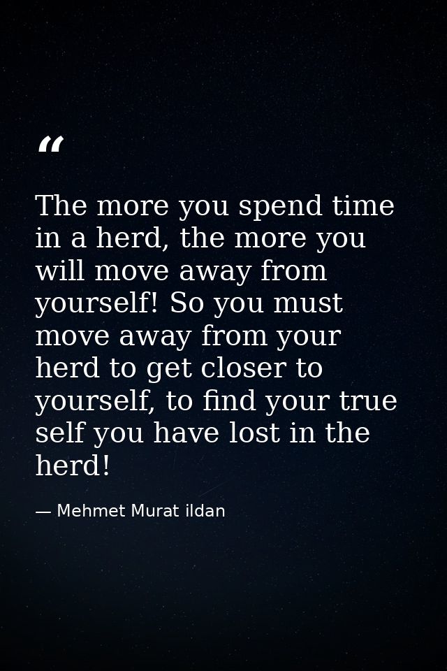 The more you spend time in a herd, the more you will move away from yourself! So you must move away from your herd to ge — Mehmet Murat ildan