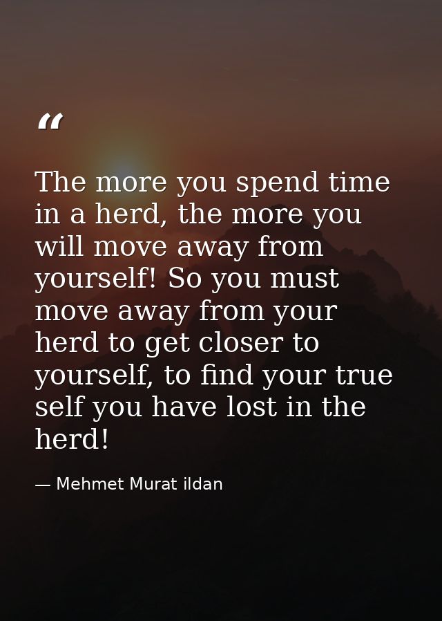 The more you spend time in a herd, the more you will move away from yourself! So you must move away from your herd to ge — Mehmet Murat ildan