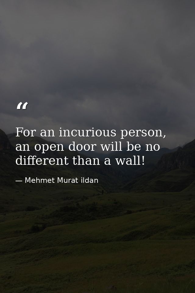 For an incurious person, an open door will be no different than a wall! — Mehmet Murat ildan