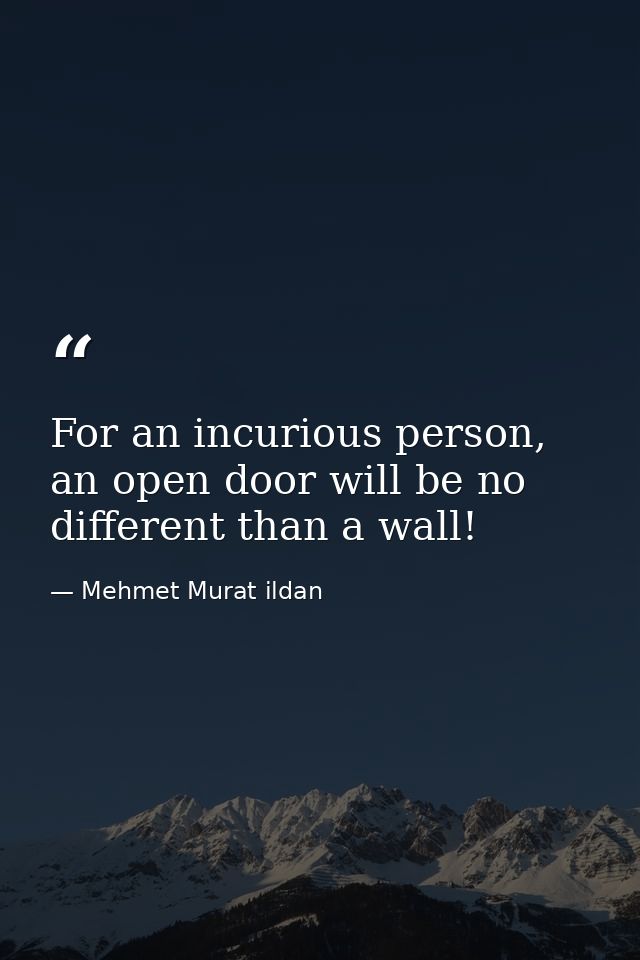 For an incurious person, an open door will be no different than a wall! — Mehmet Murat ildan