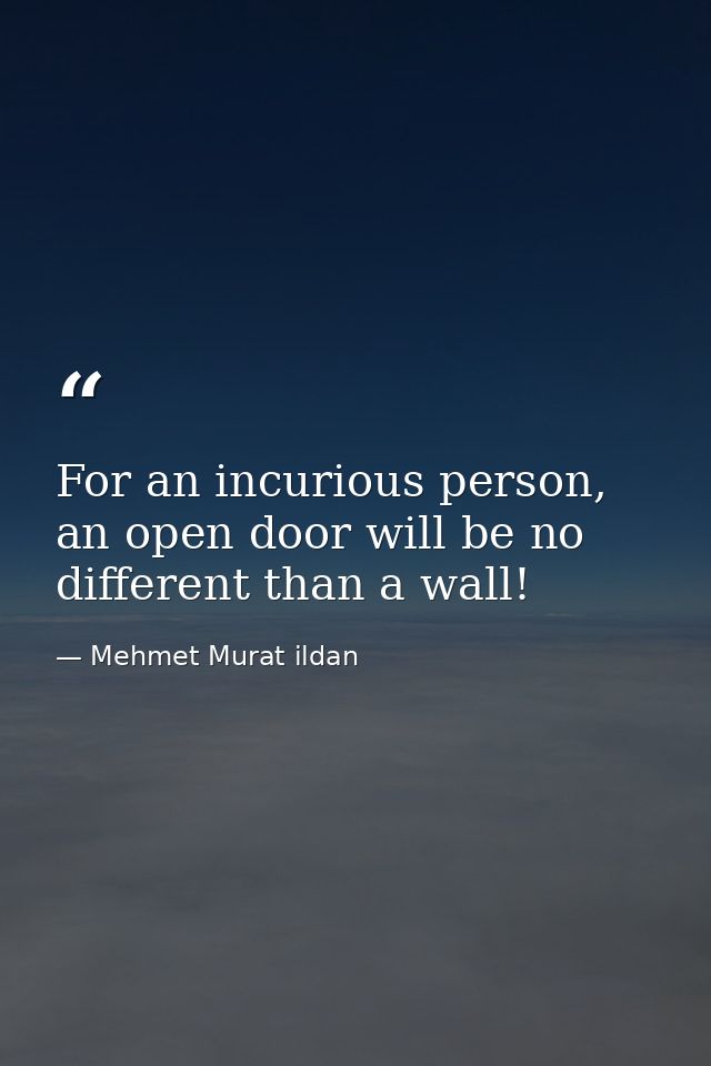 For an incurious person, an open door will be no different than a wall! — Mehmet Murat ildan