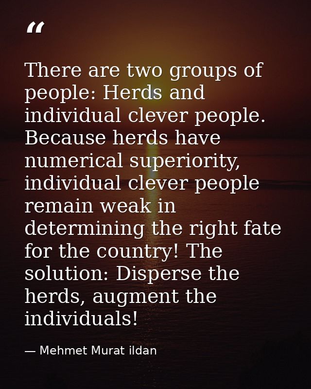 There are two groups of people: Herds and individual clever people. Because herds have numerical superiority, individual — Mehmet Murat ildan
