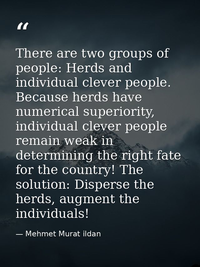 There are two groups of people: Herds and individual clever people. Because herds have numerical superiority, individual — Mehmet Murat ildan