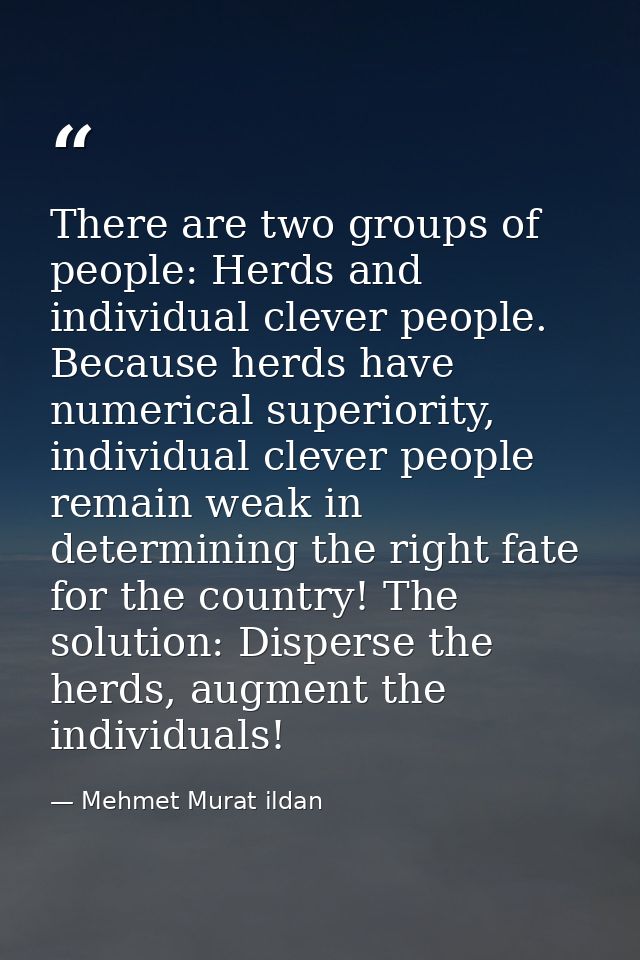 There are two groups of people: Herds and individual clever people. Because herds have numerical superiority, individual — Mehmet Murat ildan