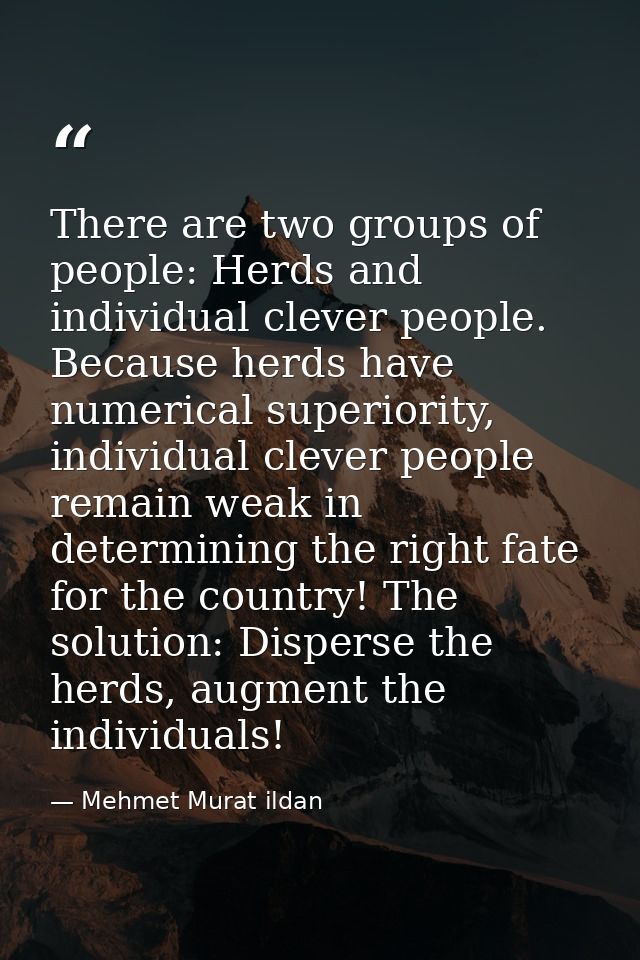There are two groups of people: Herds and individual clever people. Because herds have numerical superiority, individual — Mehmet Murat ildan