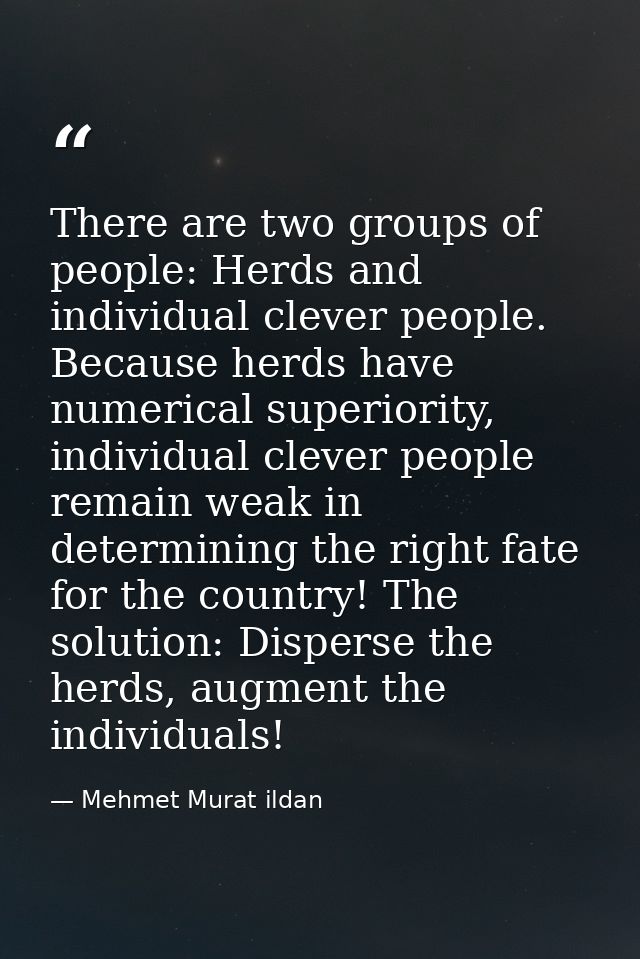 There are two groups of people: Herds and individual clever people. Because herds have numerical superiority, individual — Mehmet Murat ildan
