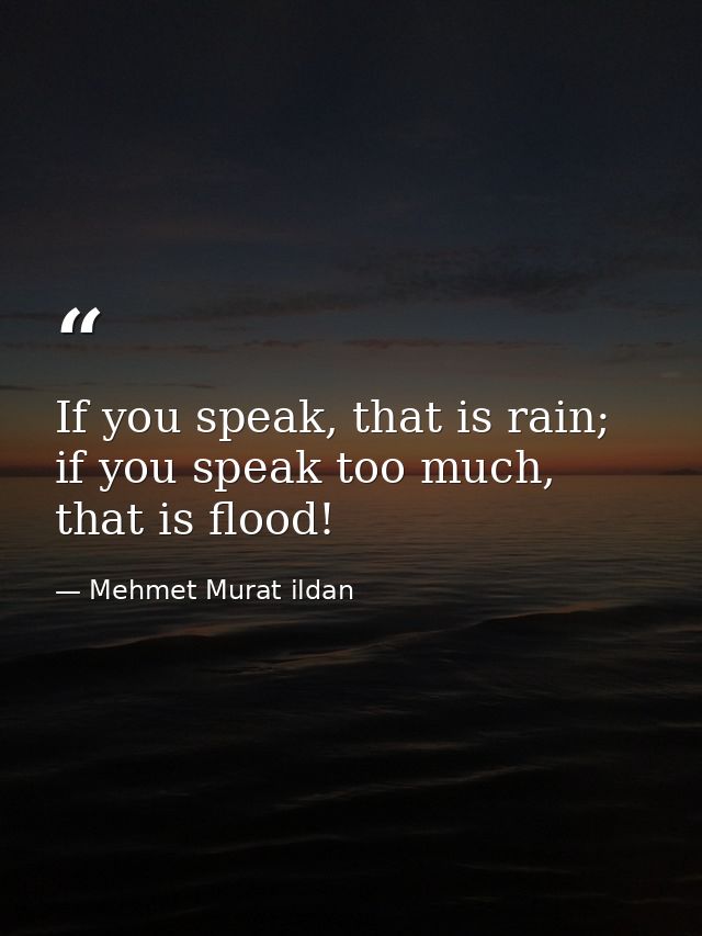 If you speak, that is rain; if you speak too much, that is flood! — Mehmet Murat ildan