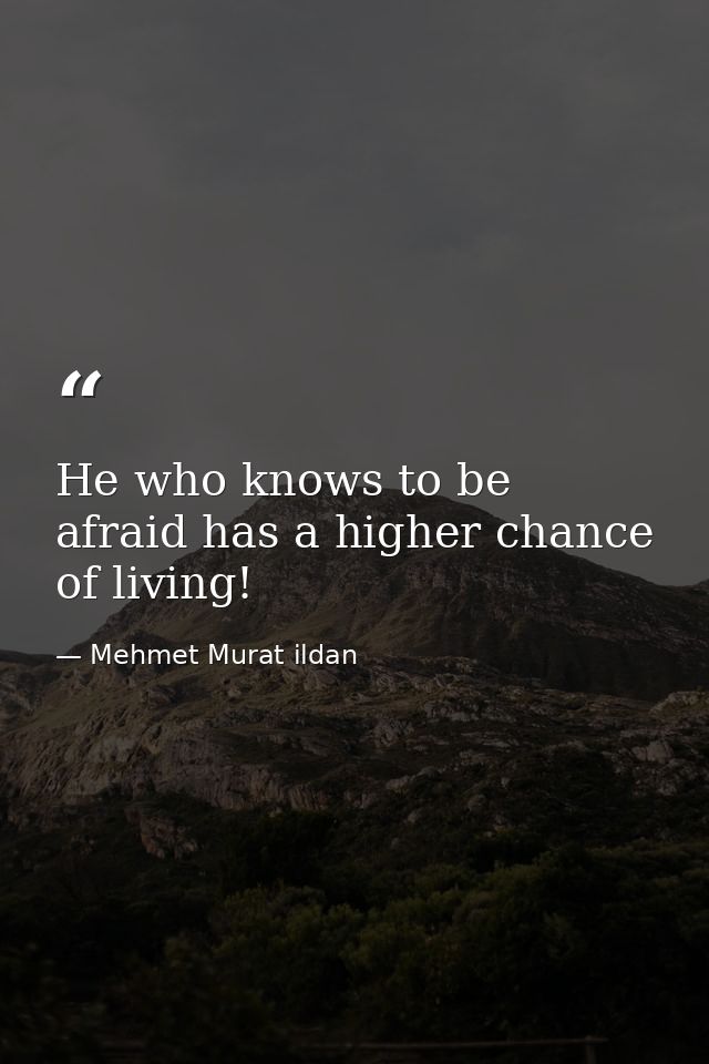 He who knows to be afraid has a higher chance of living! — Mehmet Murat ildan