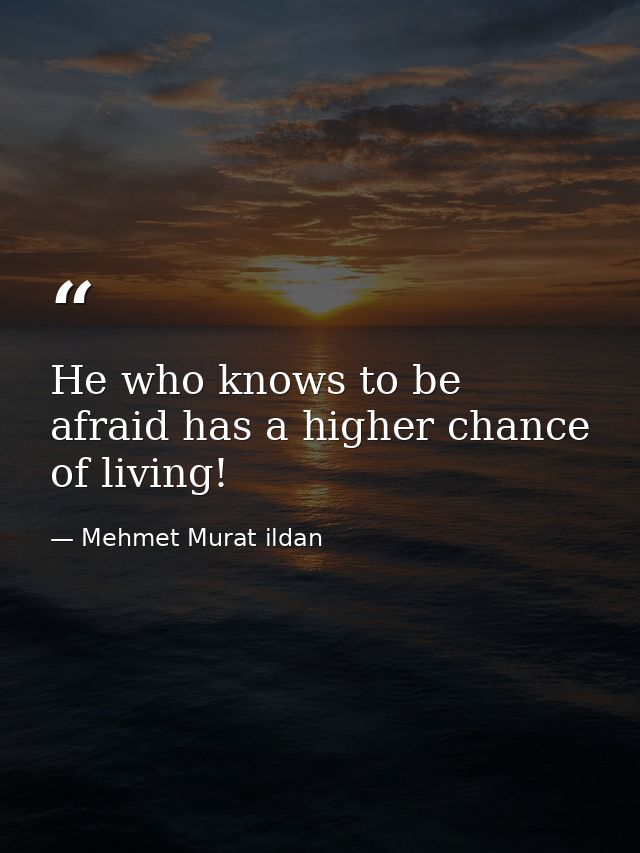 He who knows to be afraid has a higher chance of living! — Mehmet Murat ildan