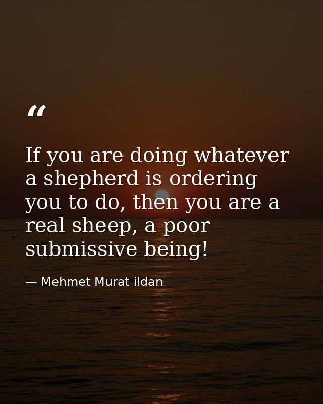If you are doing whatever a shepherd is ordering you to do, then you are a real sheep, a poor submissive being! — Mehmet Murat ildan