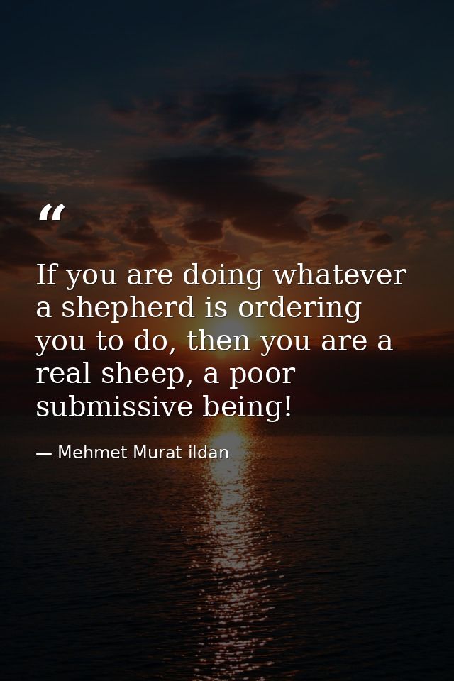 If you are doing whatever a shepherd is ordering you to do, then you are a real sheep, a poor submissive being! — Mehmet Murat ildan