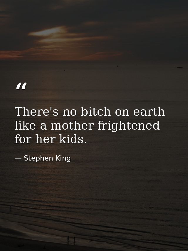 There's no bitch on earth like a mother frightened for her kids. — Stephen King