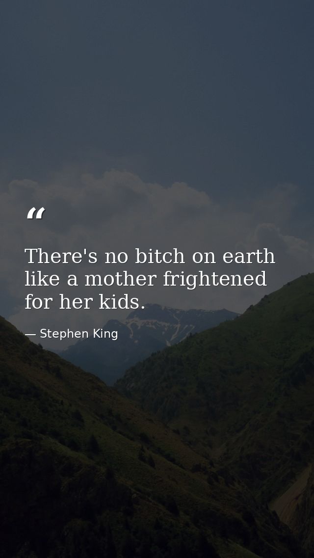 There's no bitch on earth like a mother frightened for her kids. — Stephen King