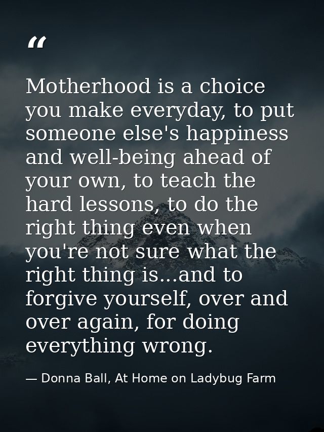 Motherhood is a choice you make everyday, to put someone else's happiness and well-being ahead of your own, to teach the — Donna Ball, At Home on Ladybug Farm