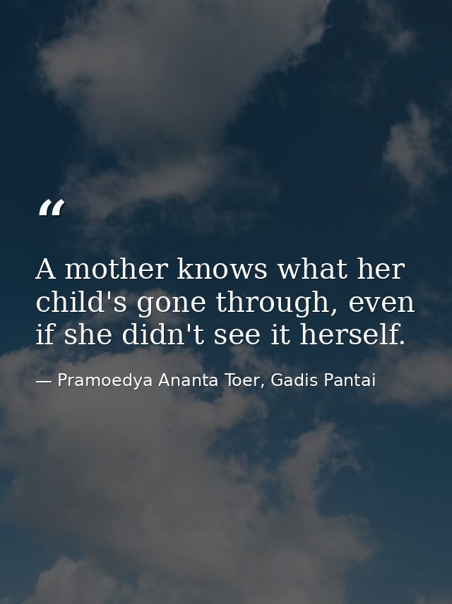 A mother knows what her child's gone through, even if she didn't see it herself. — Pramoedya Ananta Toer, Gadis Pantai