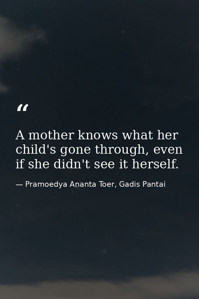 A mother knows what her child's gone through, even if she didn't see it herself. — Pramoedya Ananta Toer, Gadis Pantai
