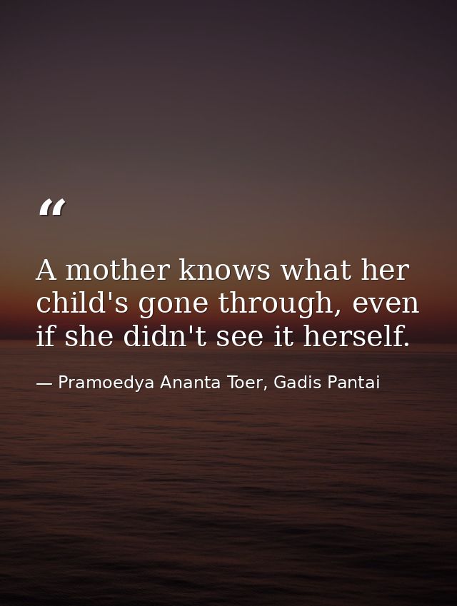 A mother knows what her child's gone through, even if she didn't see it herself. — Pramoedya Ananta Toer, Gadis Pantai