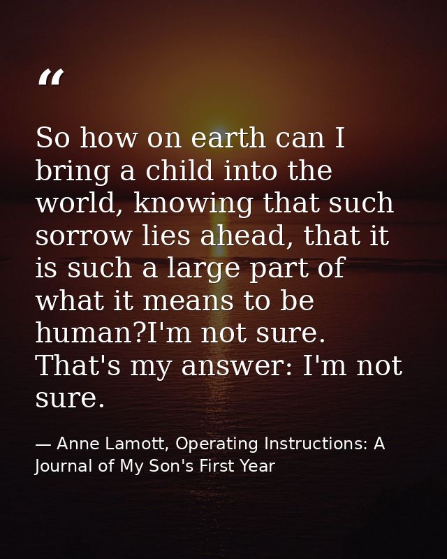 So how on earth can I bring a child into the world, knowing that such sorrow lies ahead, that it is such a large part of — Anne Lamott, Operating Instructions: A Journal of My Son's First Year