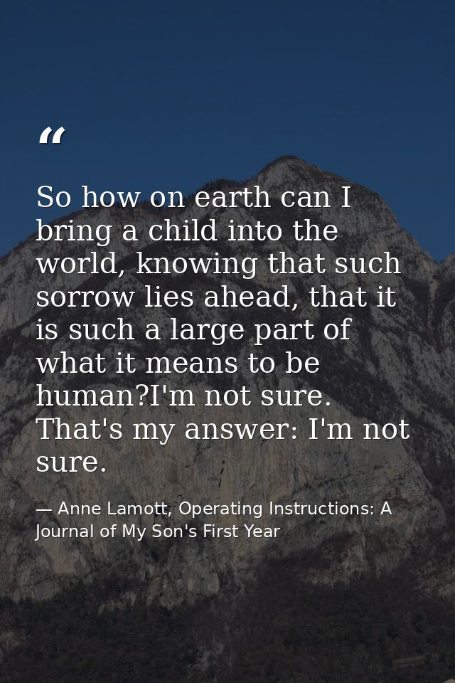 So how on earth can I bring a child into the world, knowing that such sorrow lies ahead, that it is such a large part of — Anne Lamott, Operating Instructions: A Journal of My Son's First Year